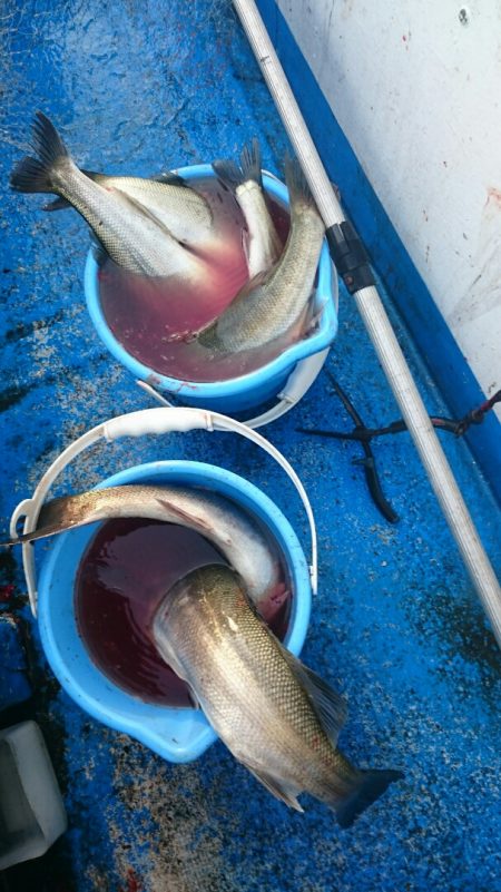 海龍丸（石川） 釣果