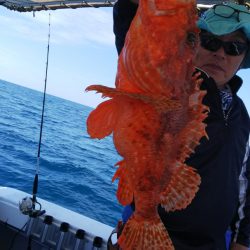 第二龍勢丸 釣果