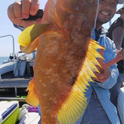 第二龍勢丸 釣果