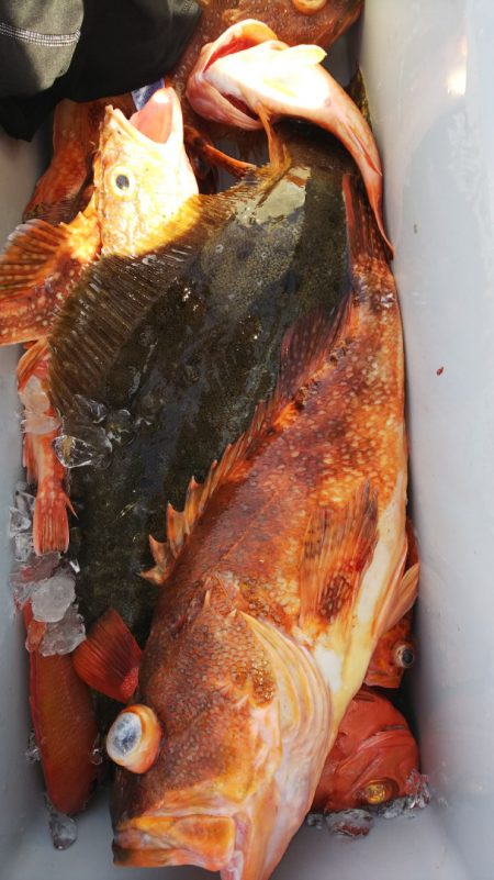 第二龍勢丸 釣果