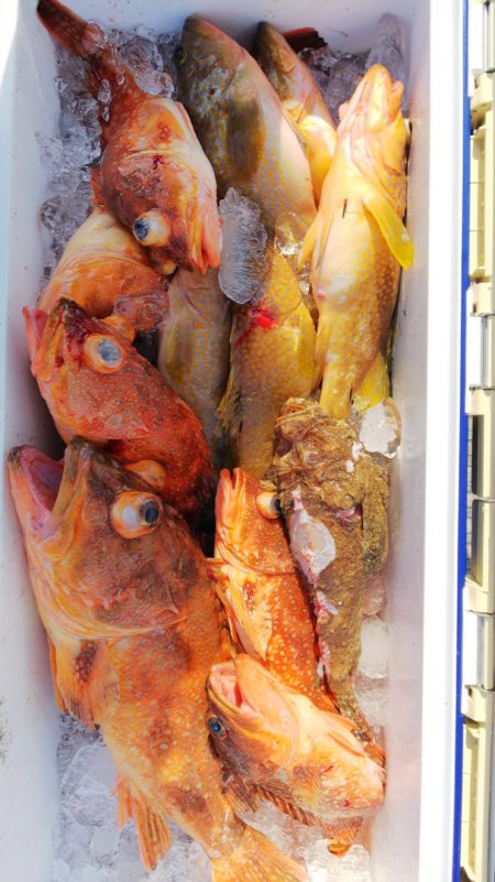 第二龍勢丸 釣果