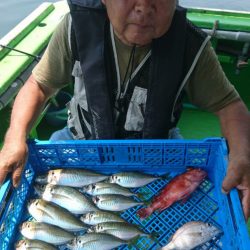 小島丸 釣果