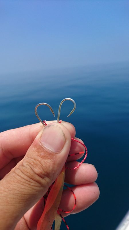 海皇丸 釣果