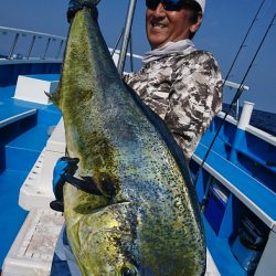 第三共栄丸 釣果