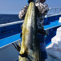 第三共栄丸 釣果