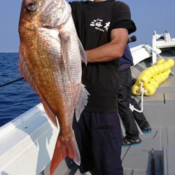 だて丸 釣果