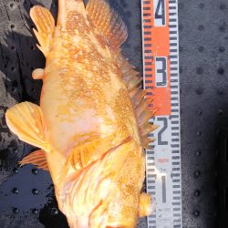 第二龍勢丸 釣果