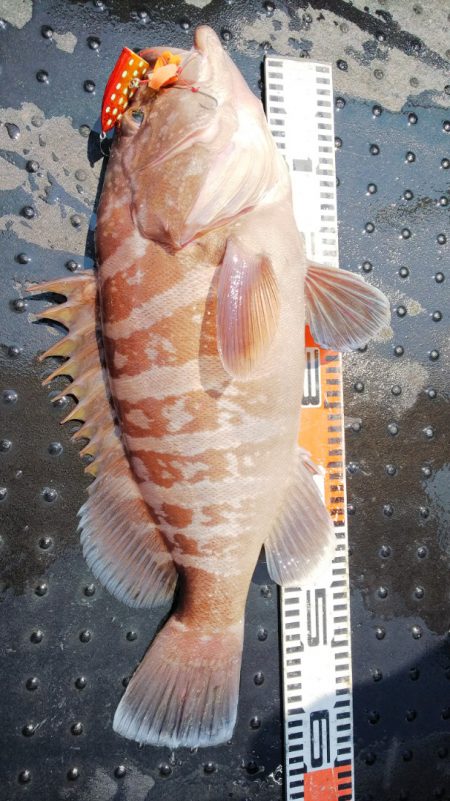 第二龍勢丸 釣果