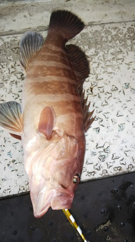 第二龍勢丸 釣果