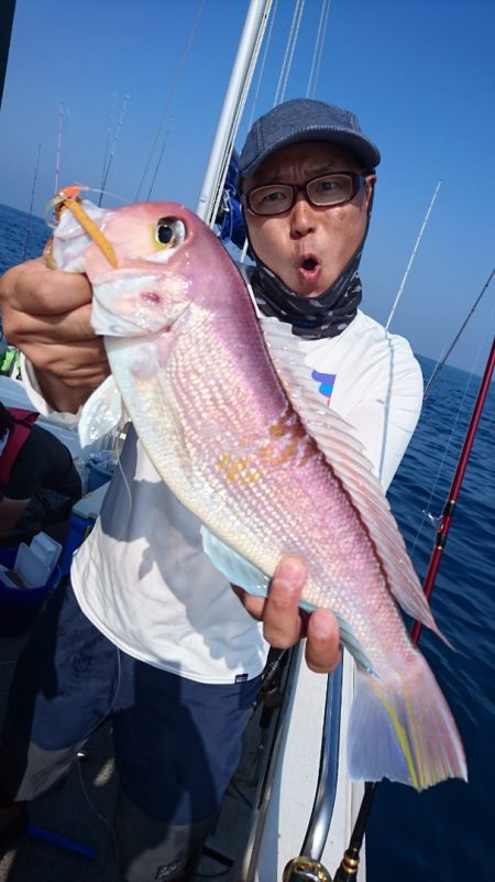 ARCADIAⅡ (アルカディアⅡ) 釣果