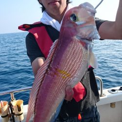 ARCADIAⅡ (アルカディアⅡ) 釣果