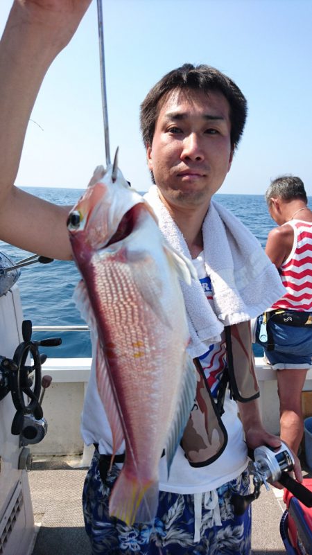 ARCADIAⅡ (アルカディアⅡ) 釣果