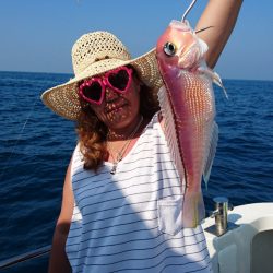 ARCADIAⅡ (アルカディアⅡ) 釣果