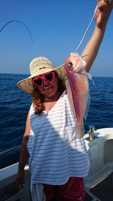 ARCADIAⅡ (アルカディアⅡ) 釣果