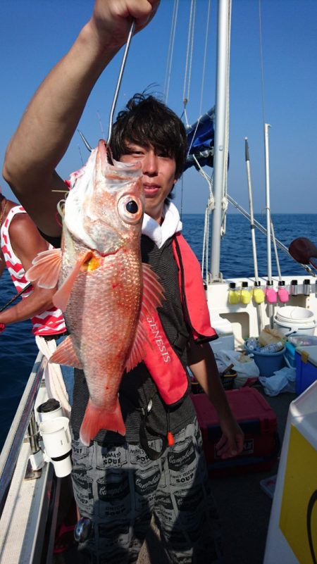 ARCADIAⅡ (アルカディアⅡ) 釣果