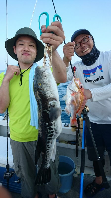 ARCADIAⅡ (アルカディアⅡ) 釣果