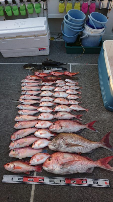 ARCADIAⅡ (アルカディアⅡ) 釣果