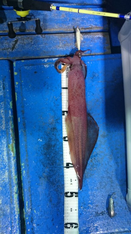 海龍丸(石川) 釣果