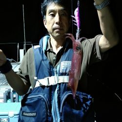 LUSTER『ラスター』 釣果