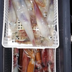 第二龍勢丸 釣果