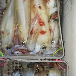 第二龍勢丸 釣果