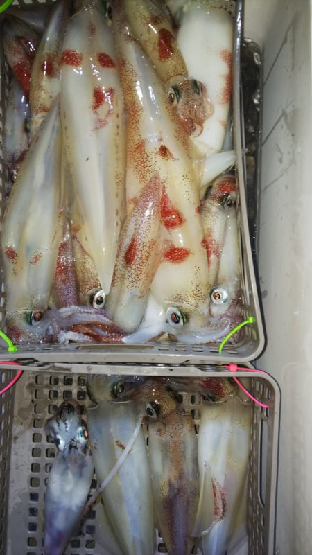 第二龍勢丸 釣果