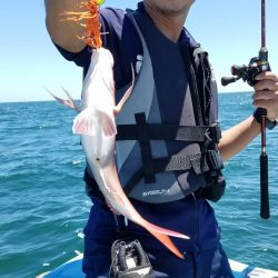 みやけ丸 釣果