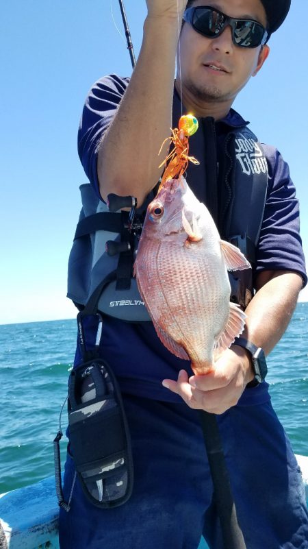 みやけ丸 釣果