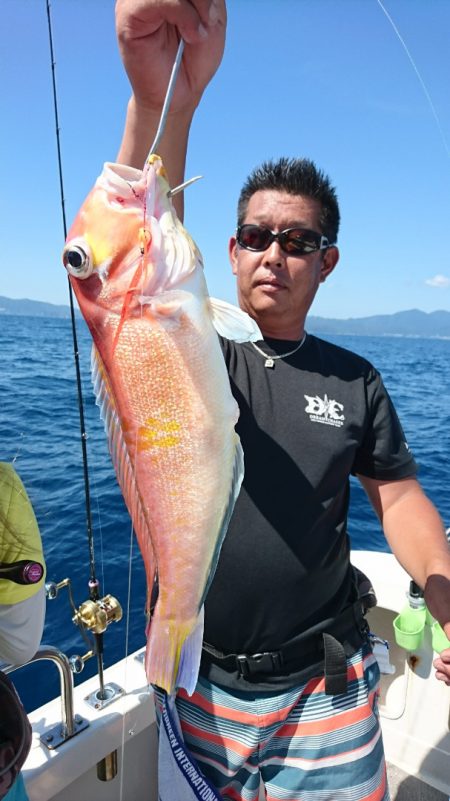 ARCADIAⅡ (アルカディアⅡ) 釣果