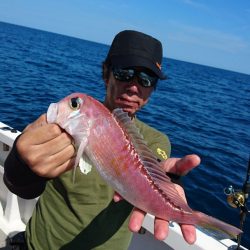 ARCADIAⅡ (アルカディアⅡ) 釣果