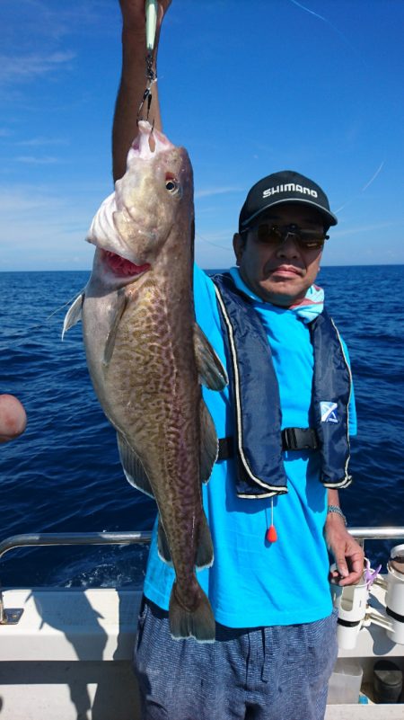 ARCADIAⅡ (アルカディアⅡ) 釣果