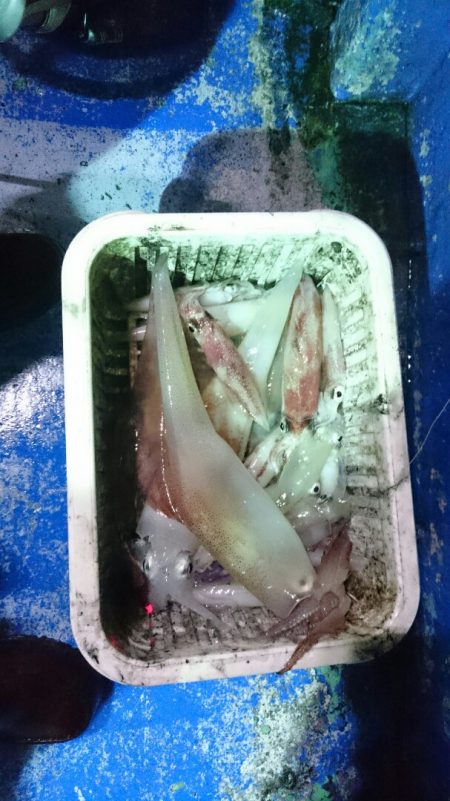 海龍丸（石川） 釣果