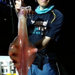 LUSTER『ラスター』 釣果