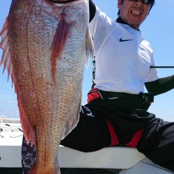 だて丸 釣果