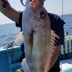 みやけ丸 釣果