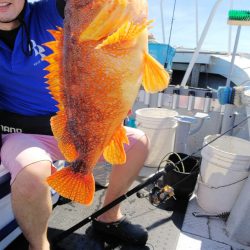 第二龍勢丸 釣果