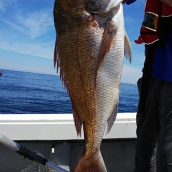 第二龍勢丸 釣果