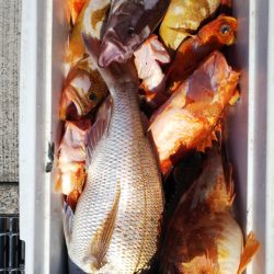 第二龍勢丸 釣果