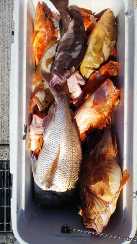 第二龍勢丸 釣果