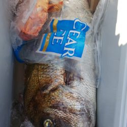 第二龍勢丸 釣果