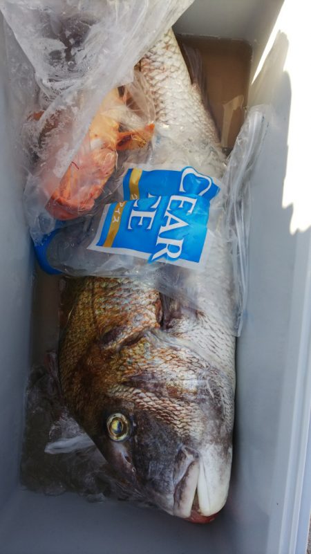 第二龍勢丸 釣果