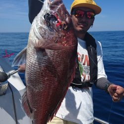 ARCADIAⅡ (アルカディアⅡ) 釣果