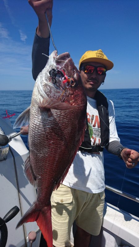 ARCADIAⅡ (アルカディアⅡ) 釣果