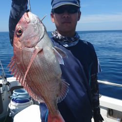 ARCADIAⅡ (アルカディアⅡ) 釣果