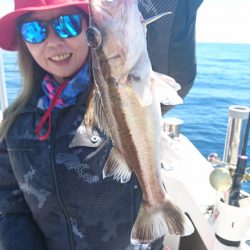 ARCADIAⅡ (アルカディアⅡ) 釣果