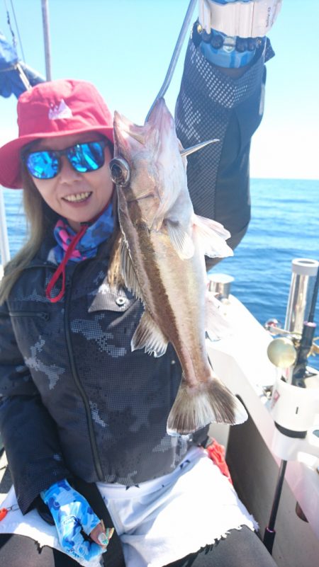 ARCADIAⅡ (アルカディアⅡ) 釣果