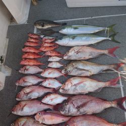 ARCADIAⅡ (アルカディアⅡ) 釣果