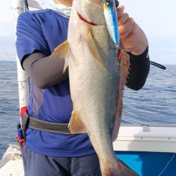 健洋丸 釣果