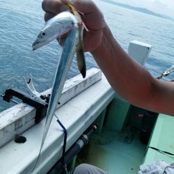小島丸 釣果