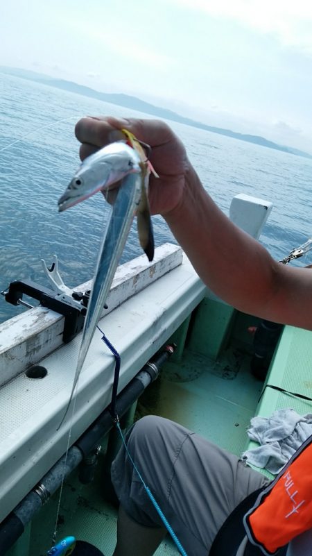 小島丸 釣果